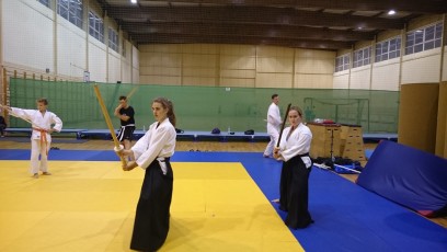 2016 trening aikido036