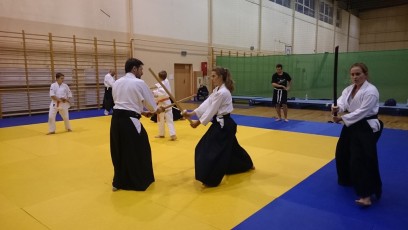 2016 trening aikido038