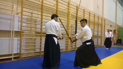 2016 trening aikido043