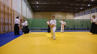 2016 trening aikido044