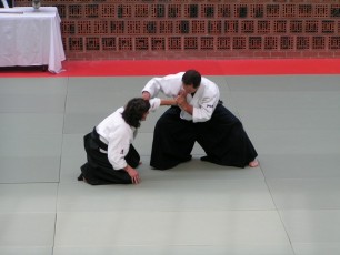 aikido-2005-christian-tissier-paryz
